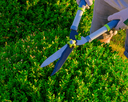 <p style="font-family: 'Poppins', sans-serif; font-weight: 700; font-size:24px;">TRIMMING SERVICES</p>